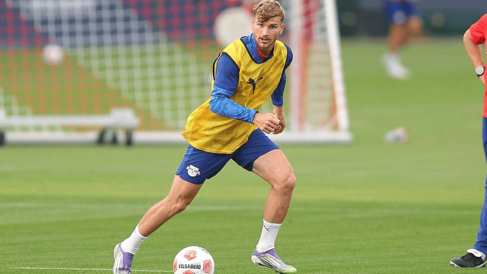 舍费尔再次, tenan, 他们与维尔