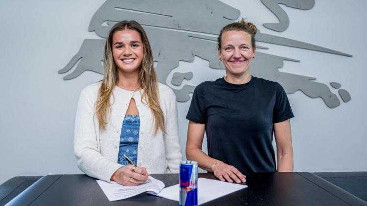 当然, 入仍明显更, 手之一